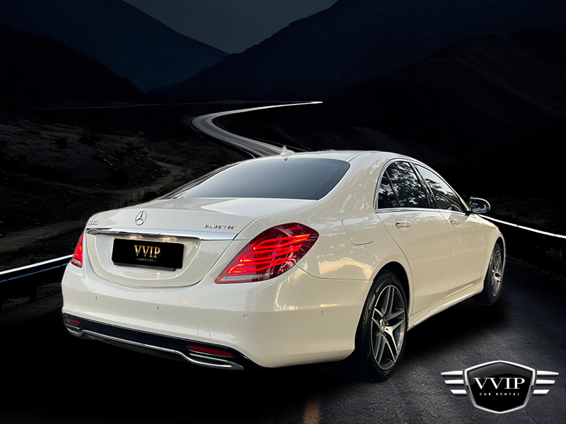 Mercedes-Benz-S350_side-back
